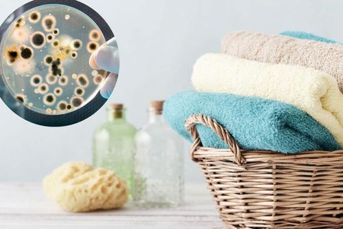 Nhà tắm thành ổ vi khuẩn do 5 vật dụng quen thuộc trong gia đình