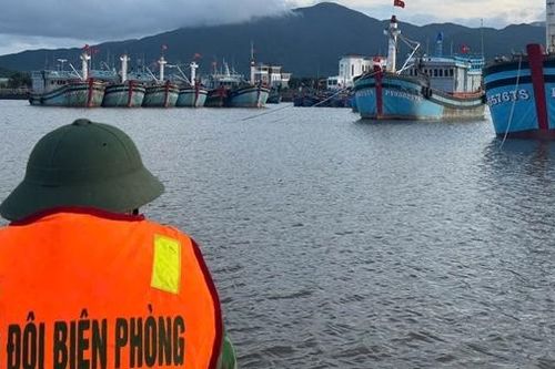 Khánh Hòa, Đắk Lắk chủ động triển khai các biện pháp ứng phó bão Kalmaegi