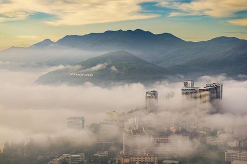 Sáng nay, phố biển Quy Nhơn 'mơ màng' trong sương
