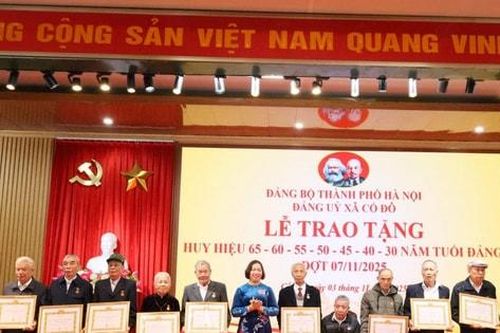 Xã Cổ Đô: 62 đảng viên được trao tặng Huy hiệu Đảng đợt 7-11