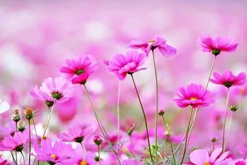 Giờ sinh Âm lịch của người nhân hậu, được quý nhân nâng đỡ suốt đời