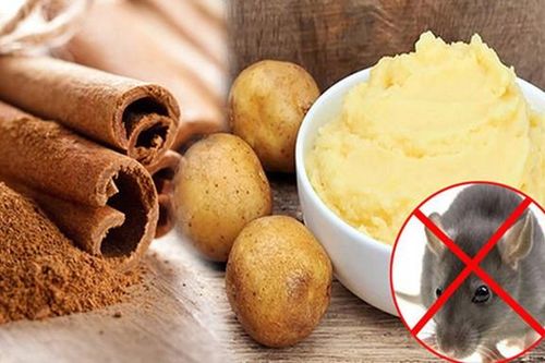 Cách xử lý ban thờ Thần tài bị chuột phá