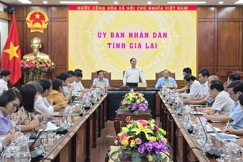 Gia Lai: Ứng phó bão Kalmaegi là nhiệm vụ chính trị hàng đầu trong thời điểm hiện tại