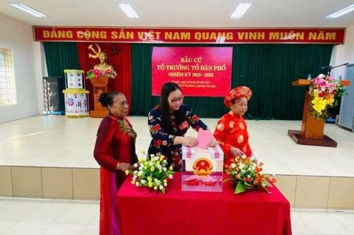 Quy định mới về bầu cử Trưởng thôn, Tổ trưởng dân phố