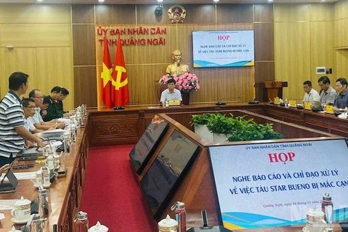 Tỉnh Quảng Ngãi chỉ đạo ứng phó, xử lý vụ việc liên quan đến tàu Star Bueno bị mắc cạn