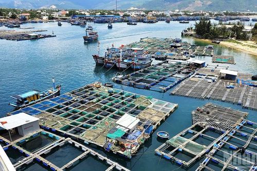 Định hình động lực tăng trưởng kinh tế biển bền vững cho Gia Lai