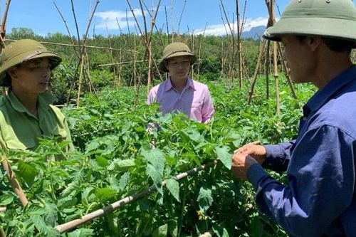 Phát triển kinh tế tư nhân trong đồng bào dân tộc ở Lai Châu