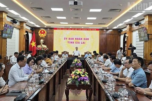 Gia Lai chủ động kích hoạt hệ thống ứng phó bão Kalmaegi