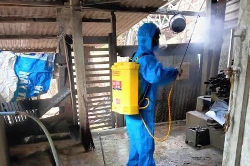 Đà Nẵng chủ động triển khai các biện pháp phòng, chống dịch bệnh