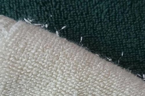 Mẹo đơn giản giữ áo len mềm mịn, 'nói không' với xơ vải
