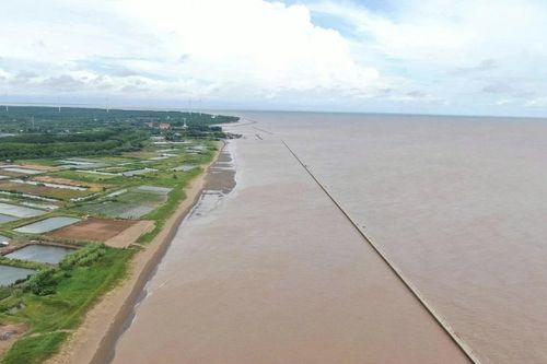 Bờ biển Cần Thơ có sạt lở nguy hiểm dài hơn 23km