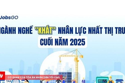 Ba ngành nghề 'khát' nhân lực nhất thị trường cuối năm 2025