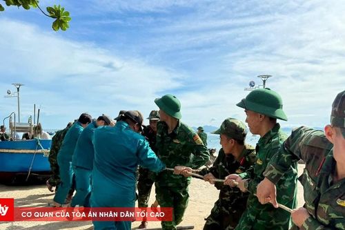 43 hộ neo đơn ở xã đảo Nhơn Châu được giúp chằng chống nhà cửa, di dời đến nơi trú tránh an toàn