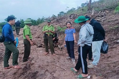 Kiểm sát việc khám nghiệm hiện trường vụ hủy hoại 5.700 m2 rừng sản xuất ở Gia Lai