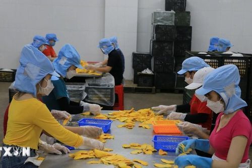 Doanh nghiệp tư nhân kỳ vọng những bứt phá trong nhiệm kỳ tới