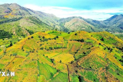 Tuần lễ hoa dã quỳ-Núi lửa Chư Đang Ya 2025: Điểm nhấn văn hóa du lịch Gia Lai