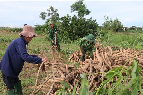 Giúp dân thu hoạch nông sản vùng ngập lũ