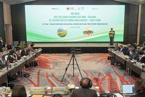 Việt Nam - Ireland tăng cường hợp tác chuyển đổi hệ thống nông nghiệp và thực phẩm