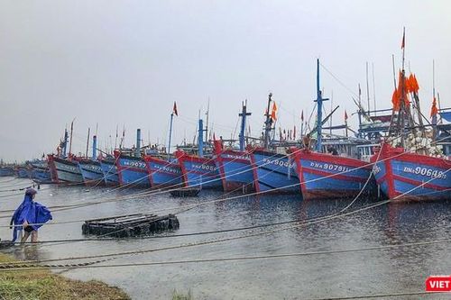 Đà Nẵng kích hoạt toàn hệ thống ứng phó với bão Kalmaegi