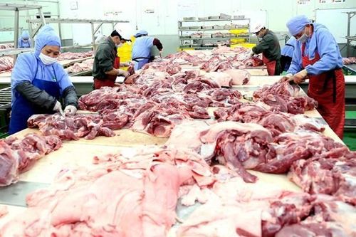 Hài hòa lợi ích để vận hành hiệu quả Sàn Giao dịch thịt lợn