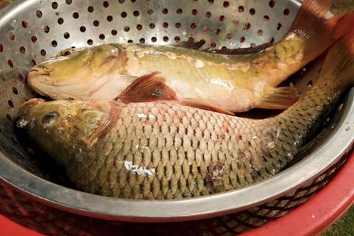 Loại cá giòn sần sật, giá đắt gấp 3 lần cá thường vẫn cháy hàng, om dưa ăn ngon quên lối về