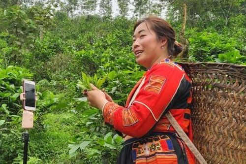 Dự án Luật Thương mại điện tử: Thúc đẩy phát triển kinh tế số, kích cầu tiêu dùng
