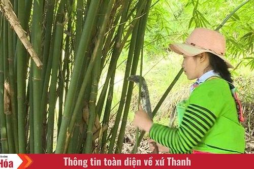 'Bài toán' giảm nghèo vùng đồng bào Mông