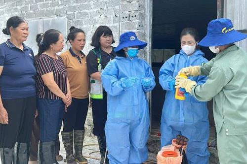 Xã Nhã Nam: Cơ cấu lại sản xuất, hướng đến bền vững