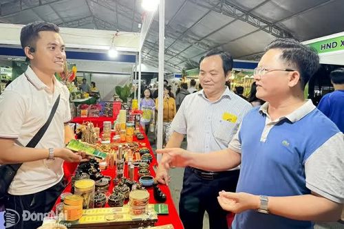Trồng dó bầu tạo trầm thuận theo tự nhiên