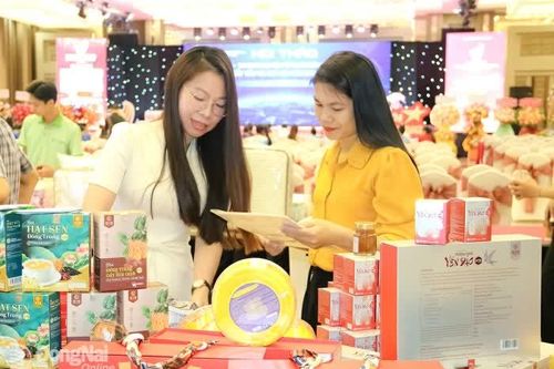 Cải thiện môi trường kinh doanh thúc đẩy kinh tế phát triển
