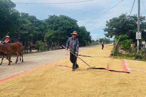 Giúp dân giảm nghèo, củng cố thế trận lòng dân ở vùng biên