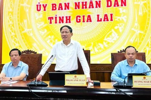 Chủ tịch UBND tỉnh Phạm Anh Tuấn: Tránh để thiệt hại tính mạng, hạn chế thiệt hại về tài sản của người dân