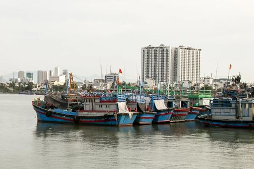Phường Nha Trang: Yêu cầu hoàn thành một số biện pháp ứng phó với bão trước ngày 5-11