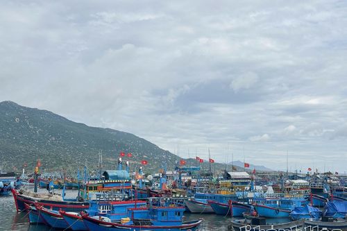 Xã Cà Ná chủ động ứng phó với bão Kalmaegi