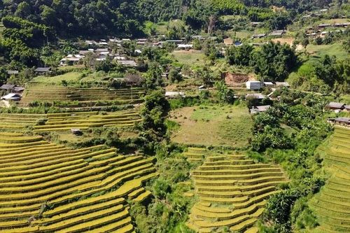 Bí thư chi bộ hết lòng vì dân