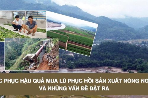Khắc phục hậu quả mưa lũ phục hồi sản xuất nông nghiệp và những vấn đề đặt ra