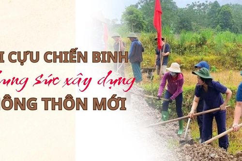 Hội Cựu chiến binh chung sức xây dựng nông thôn mới