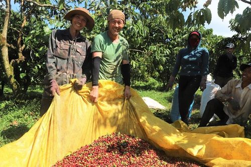 Lâm Đồng tăng cường đấu tranh với tội phạm, bảo vệ mùa vụ nông sản
