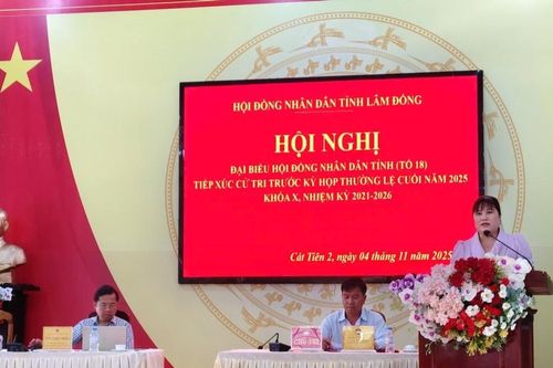 Tổ đại biểu HĐND tỉnh số 18 tiếp xúc cử tri tại xã Cát Tiên 2