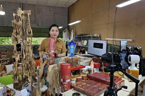 Đưa hương trầm vươn xa