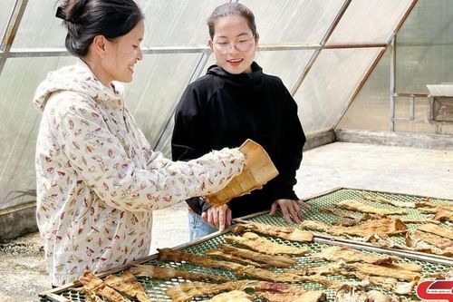 Phụ nữ Xuân Nha thi đua phát triển kinh tế