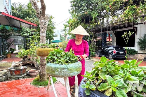 Chung tay xây dựng môi trường sống xanh - sạch - đẹp