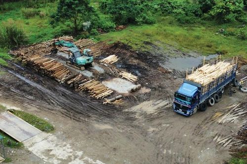 Buông lỏng quản lý hoạt động cơ sở thu mua gỗ keo tràm - Bài 1: Trạm cân không phép vẫn ngang nhiên hoạt động