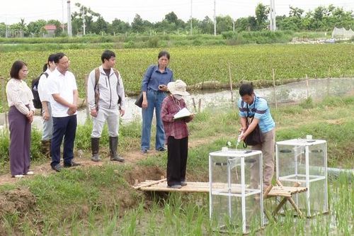 Hà Nội: Xã Ứng Hòa thúc đẩy xây dựng nông thôn mới hiện đại, phát triển kinh tế bền vững