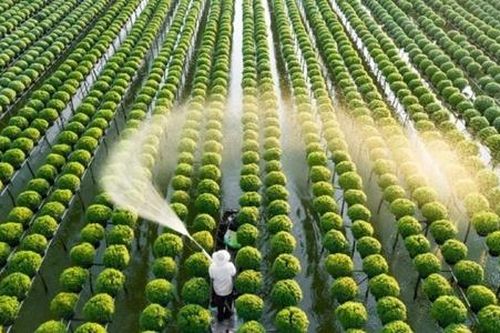Sửa 15 Luật lĩnh vực nông nghiệp và môi trường, tháo gỡ 20 'điểm nghẽn'