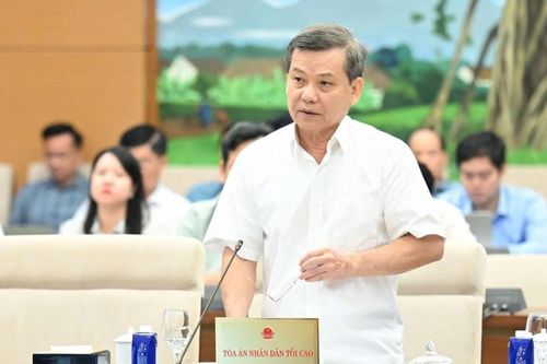 Chánh án Lê Minh Trí làm Phó trưởng ban Thường trực Ban Nội chính Trung ương