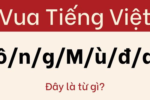 Đừng để câu đố này đánh lừa bạn