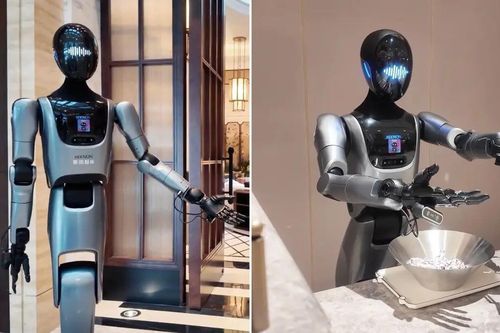 Khách sạn ở Trung Quốc dùng robot hình người làm lễ tân, dọn phòng