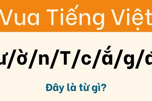 Chỉ 1% người giỏi ngôn ngữ mới tìm được lời giải
