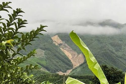Sườn núi sạt lở dài 2km, một người đàn ông đi tìm gia súc tử vong